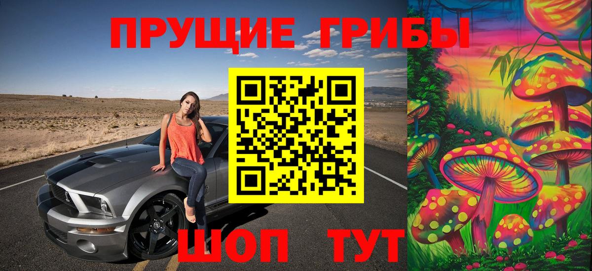 Псилоцибиновые грибы Psilocybine cubensis  Вход с VPN  Бийск 